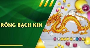 Soi rồng bạch kim 33win