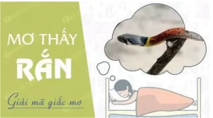 Mơ Thấy Rắn Đánh Số Gì